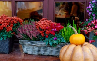 Fall Flowers, Thanksgiving Flowers