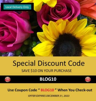 Special Discount Coupon, Save $10 On Your Purchase