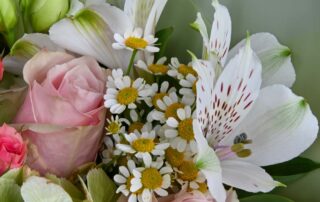 Birthday Flowers