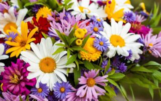 Huisman Flowers Grand Haven Flower Shop Offers Great Labor Day Flowers Local Same Day and Express Flower Delivery Service