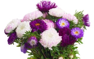 Huisman Flowers Offers Heartfelt September Birthday Flowers and Plants Same Day Local Delivery