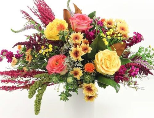 Autumn Flowers to Brighten Your Home and Heart