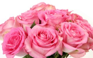 Best Flowers for Breast Cancer Awareness Month