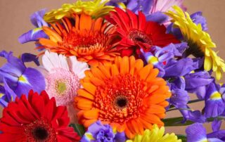 Huisman Flowers Offers Beautiful Flowers for Bosses Day and Sweetest Day