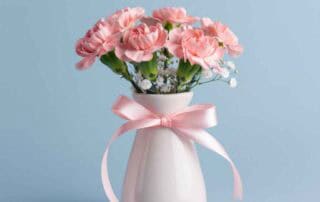 Carnations for Mother's Day