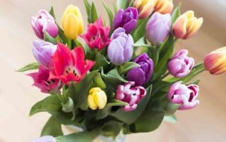 Teacher Thankyou Flowers